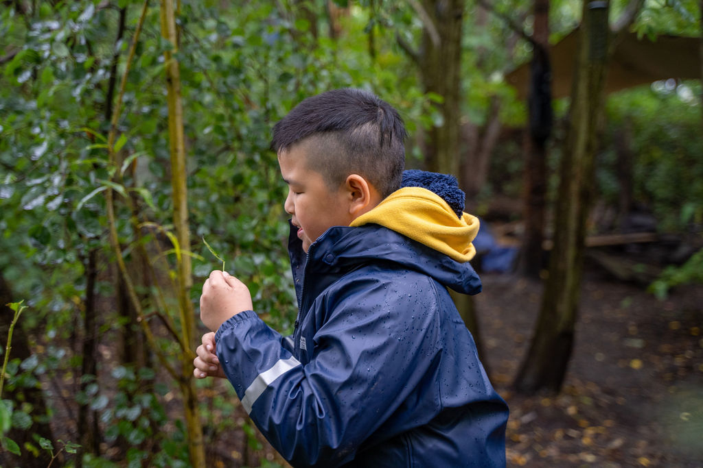 forest school